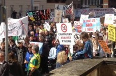 These protesters are calling for an end to 'pylon and wind farm lunacy'
