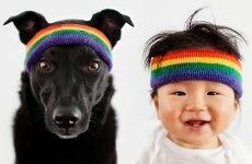 This baby and his dog are the most fashionable pair on the internet