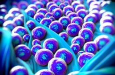 MRSA has been in Irish hospitals for 40 years, but it's getting more dangerous