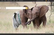 Bing responded to its elephant-penis homepage in the best possible way