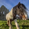 Heritage Ireland: 3 amazing sites to see this Easter weekend