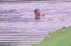 VIDEO: Poor Pablo Larrazabal jumped in a water hazard to escape angry hornets