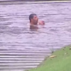VIDEO: Poor Pablo Larrazabal jumped in a water hazard to escape angry hornets