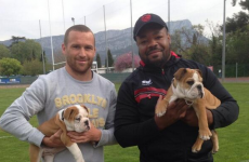 Basta breeds them big: It's the Sporting Tweets of the Week