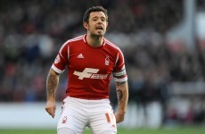 Ireland international Andy Reid has been ruled out for the rest of the season
