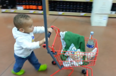 Dad takes toddler shopping for food. Toddler has other plans.