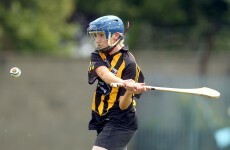 Kilkenny beat Wexford in Camogie League Division 1 semi-final