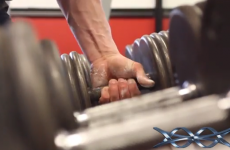 Dún Laoghaire-based firm providing the Genetic Performance edge