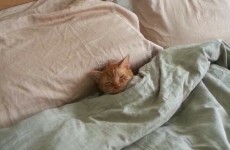 The 9 feelings you're all having after the long weekend