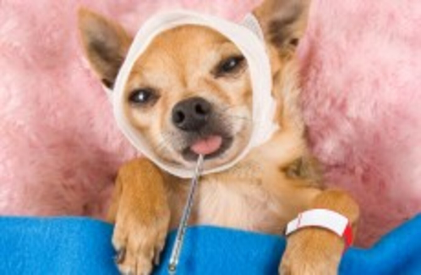 Scientists have proven a good sleep could actually cure your cold