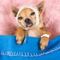 Scientists have proven a good sleep could actually cure your cold