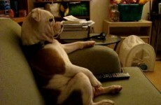 What to watch on TV tonight: Tuesday