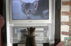 What to watch on TV tonight: Wednesday