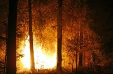 Wildfires rage across eastern Russia