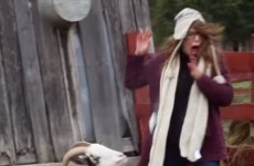 This girl is absolutely terrified by a goat's sneeze