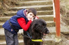 Autism assistance dogs transform children's lives...but they are expensive to keep