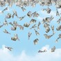 Who wants to become a billionaire? Just solve one of these problems