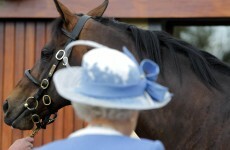 Hopes of Queen's visit to Curragh dashed by Palace