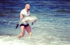 MMA fighter goes to wedding, saves a dolphin