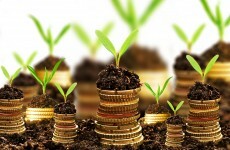 Dublin-based companies have had €200 million worth of IDA backing, Laois has had €380,000