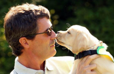 Puppies, Brazil and blondes: 10 things we learned from today's cracking Roy Keane interview