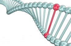 Autism and schizophrenia may be caused by the same mutations