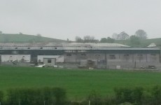 More than 4,000 pigs die in fire at farm in Northern Ireland