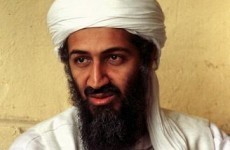 No evidence of imminent terrorist threat from Bin Laden before death: Officials