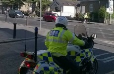 Cannabis herb worth €140k found in car