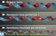 Harvard scientists have found a new shape - it's in your phone cord