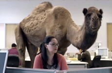 Here's why tomorrow is gonna be the best day in your week