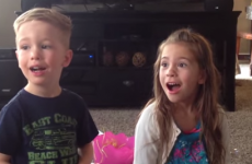 Little girl has the cutest reaction to mother's pregnancy announcement