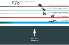 The deadliest creature on the planet? It's not even close