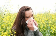 Suffer from hay fever? We have some bad news