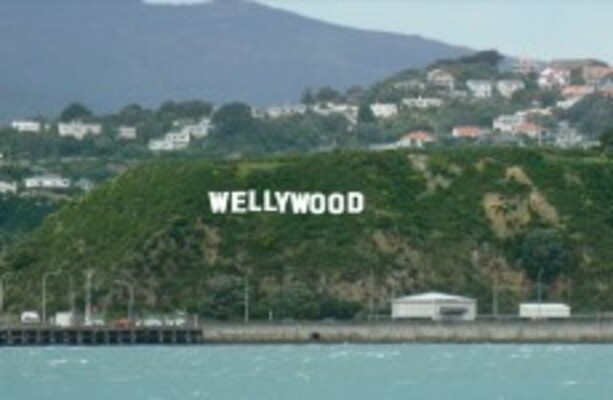 Former NZ mayor refuses to apologise for 'dumb Irish' slur