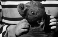 Opinion: A man and his dog – being homeless in Dublin
