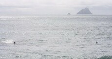 Incredible photo captures huge shark approaching swimmer off Kerry beach
