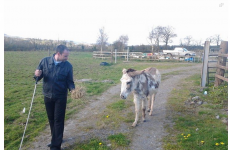 On The Trail: 7 odd, weird and wonderful things from Election 2014