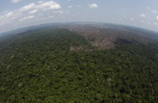 Brazil's rainforests under threat after agricultural lobby wins key vote
