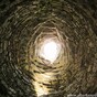 Heritage Ireland: Discovering the ancient Slí Mhór among the bluebells