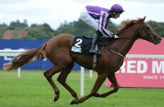 Is Australia really 'head and shoulders' above Aidan O'Brien's horses? We'll find out today