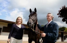 The story of the Irish scientist leading a horse racing revolution