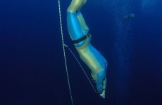 10 mad things that happen when a diver descends 400 feet on a single breath