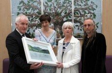 Beaumont Hospital gets an art walk exhibition