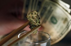 Cannabis growers in Colorado are struggling for financing, could co-ops be the answer?