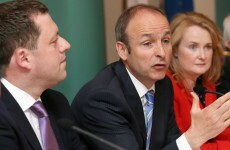 Fianna Fáil condemns anti-Semitic remark allegedly made by canvasser