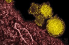 Spread of MERS virus prompts international emergency talks
