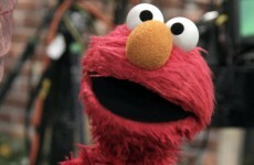 Is Sesame Street's 'left wing propaganda' teaching ethnic groups civil disobedience?