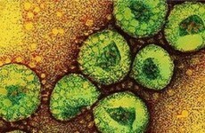 Three new MERS deaths in Saudi Arabia