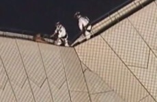 VIDEO: Man rescued from top of Sydney Opera House after climbing onto the roof